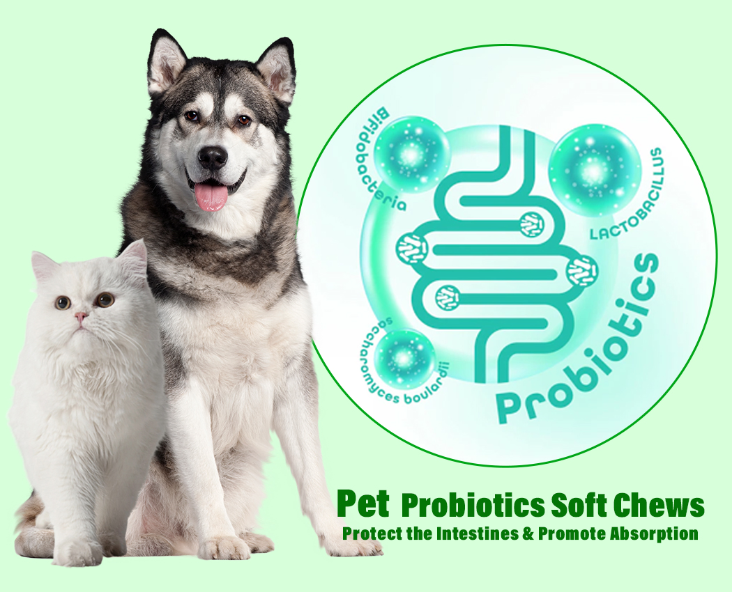 Pet Supplements Chews Private Label Dog Treat Supplement Natural Pet Nutrition Prebiotics