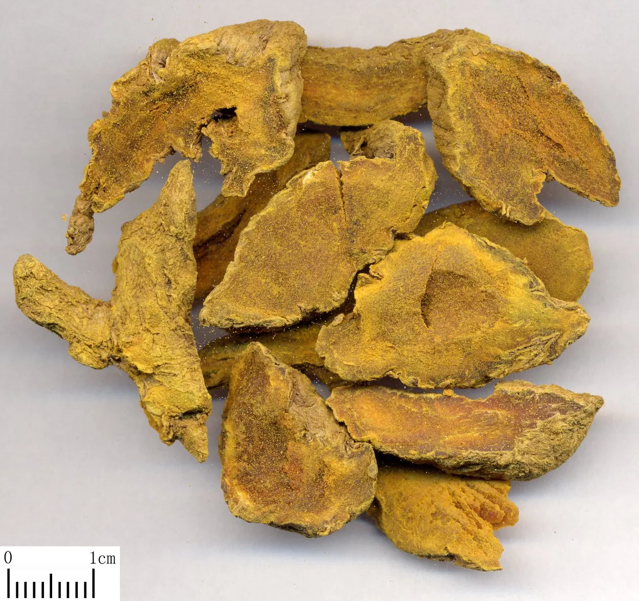 Supply Turmeric Extract 50% Curcumins for Functional Food
