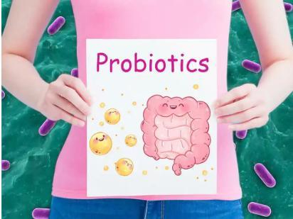 Hot Sale Factory 200 Billion Cfu/G Health Care Supplement Lactobacillus Acidophilus Probiotics