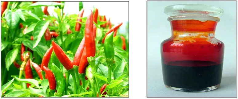 Paprika Oleoresin Natural Capsicum Oleoresin 20% as Food Colorant