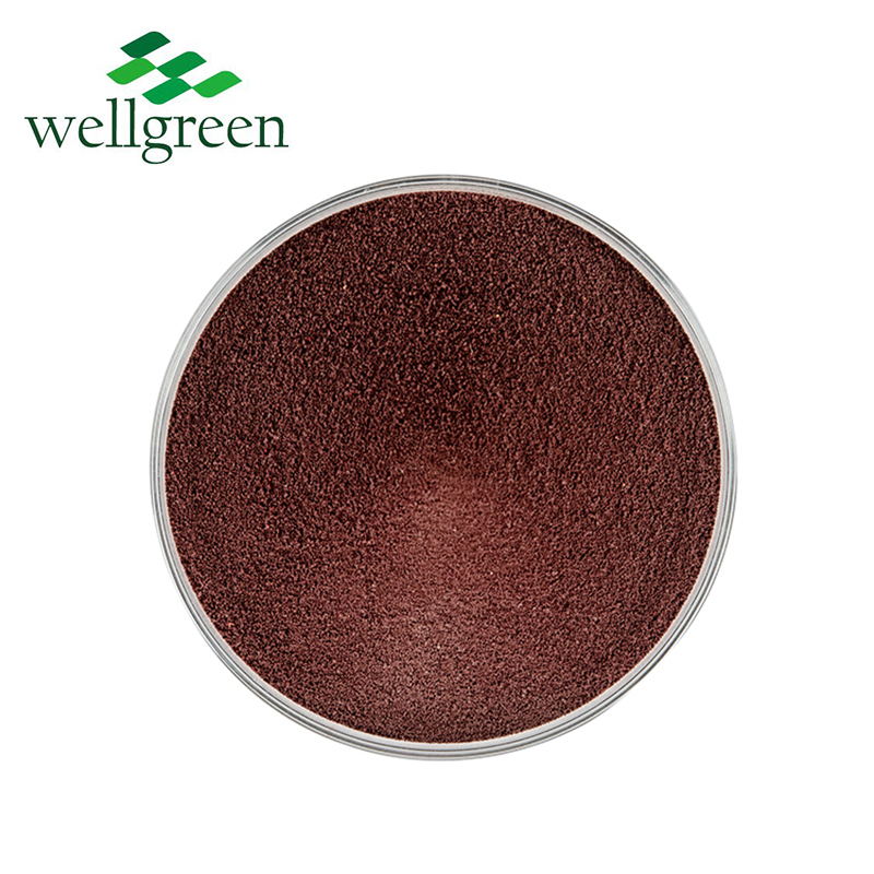 Natural Food Colorants Caramel Powder CAS 8028-89-5 Pigment Caramel