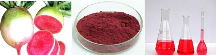 Radish Red Pigment Banner