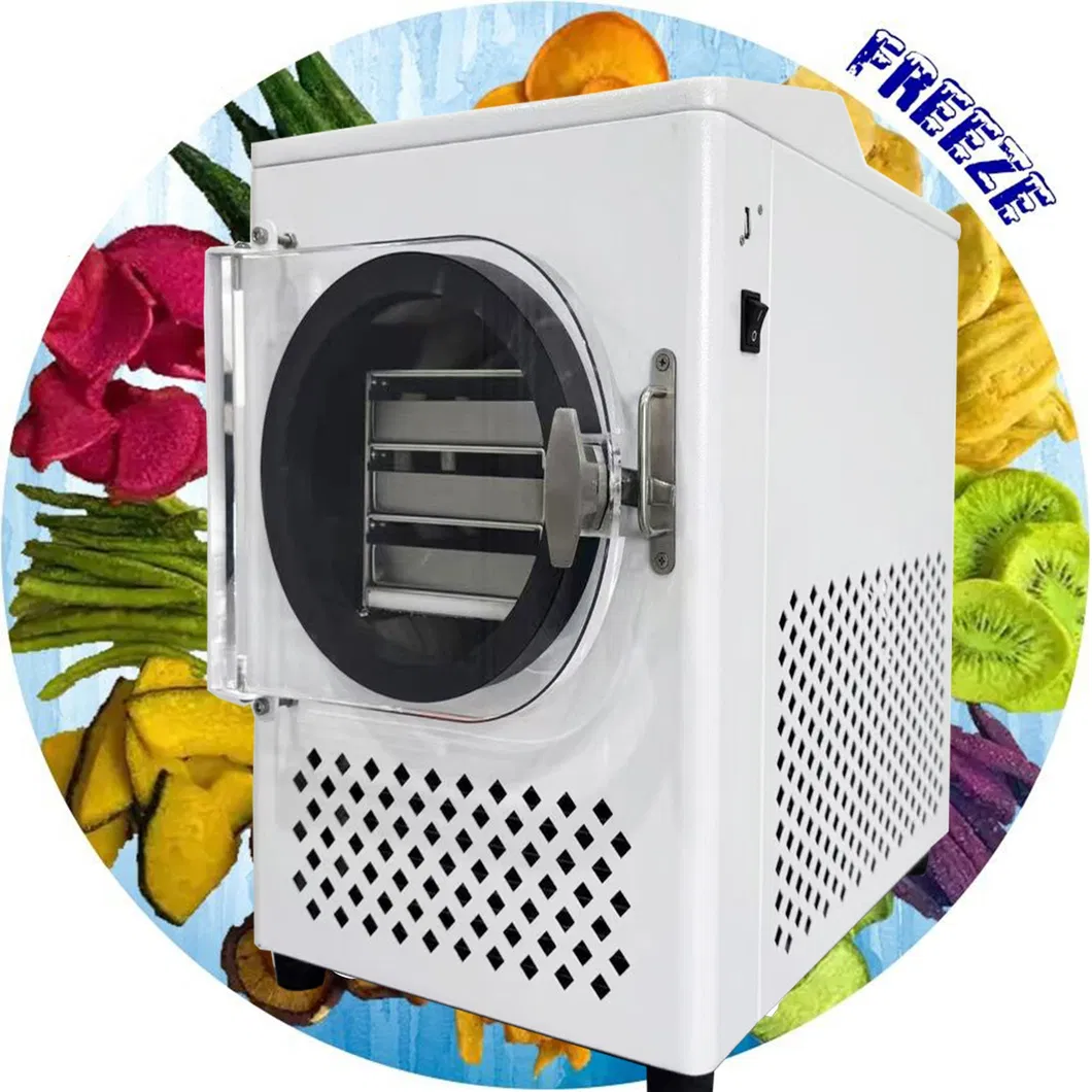 Vacuum Freeze Dryer