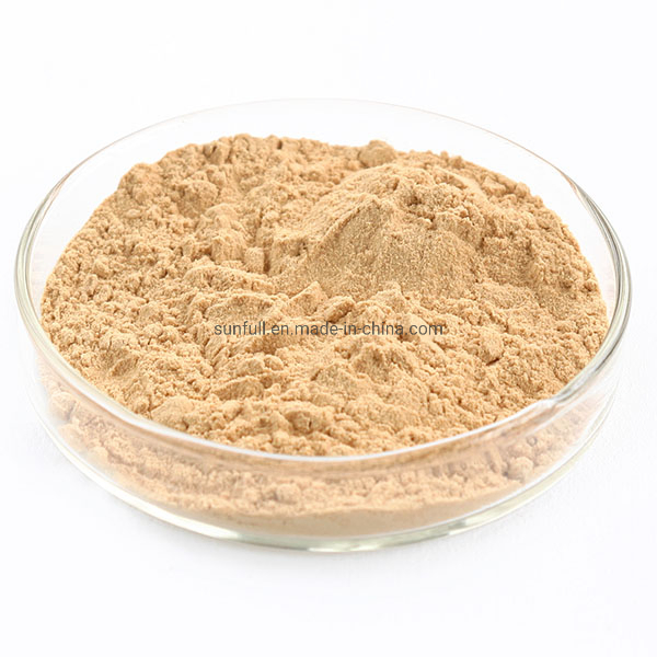 Chrysanthemum Flower Extract Powder Wtih Flavonoids, Amino Acids &amp; Vitamins