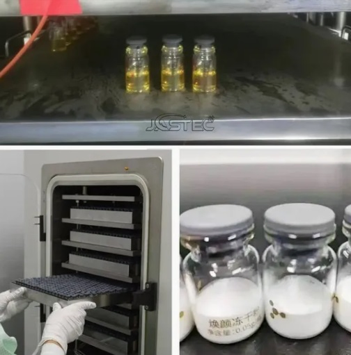 Cosmetic Lab Lyophilizer Preserve Active Ingredients in R&D