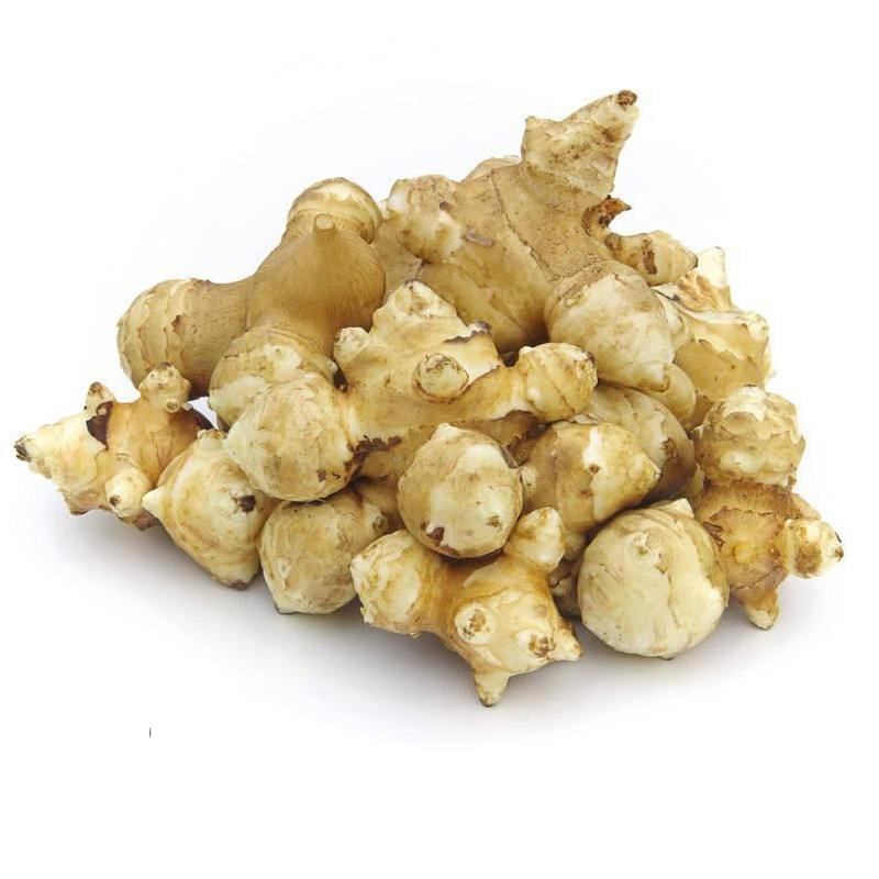 Food Ingredients Additive Probiotics Inulin Powder for Dairy Candy Products