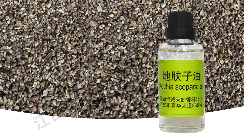 Seed Oil Display 2