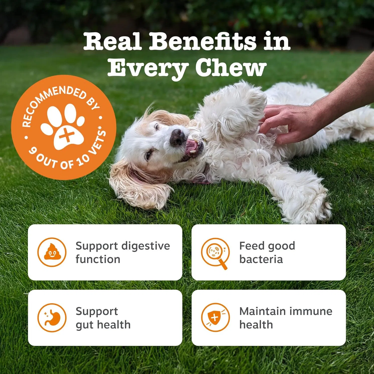 Dog Probiotic Chews Pet Nutrition Supplement Prebiotics Probiotics Treats Dog Food