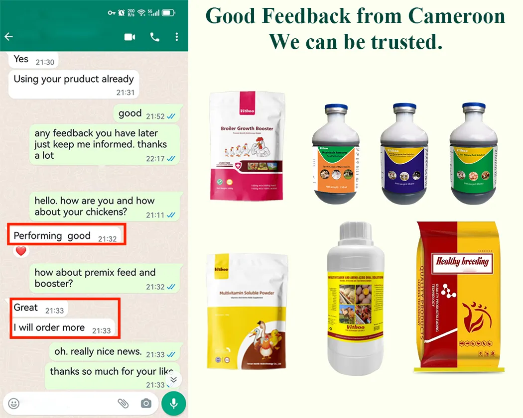 Good Comments Feedbacks