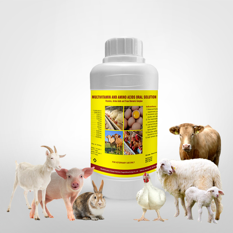 Multivitamin Oral Liquid Supply Vitamin and Amino Acids for Poultry Cattle