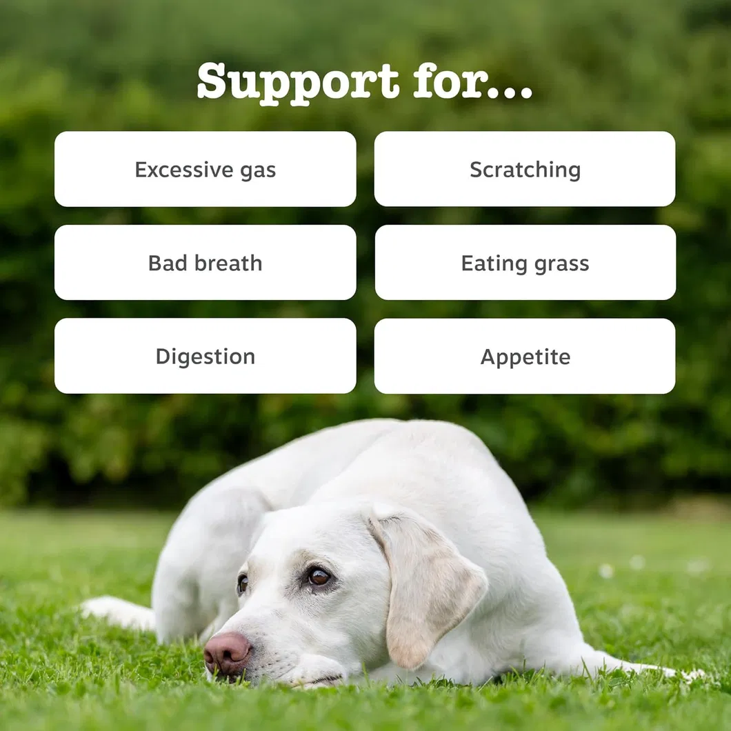 Natural Probiotic Dog Treats Customization