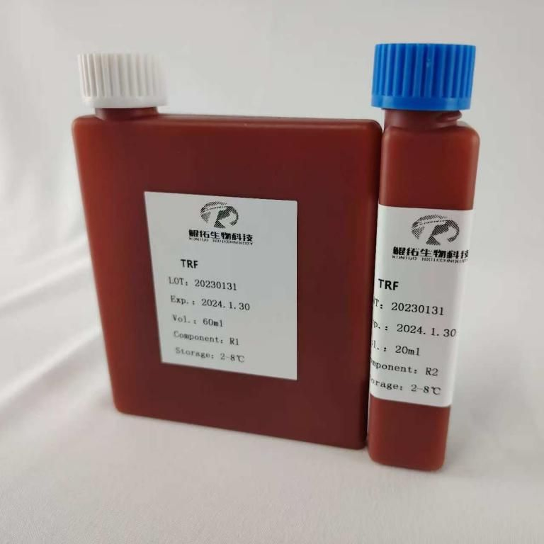 Biochemical Reagent Transferrin (TRF) Is Used for Neural Development and Drug Research