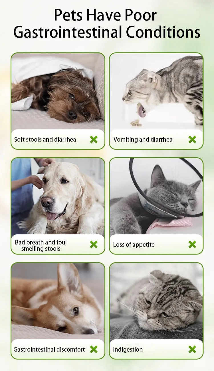 Enterob Pet Probiotics 112b Cfu Gut Health Supplement for Dogs Cats