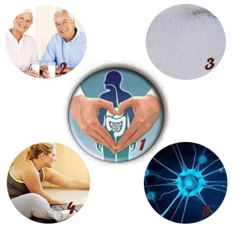 The Least Used Prebiotics But with Best Effects Is Xos Xylooligosaccharide