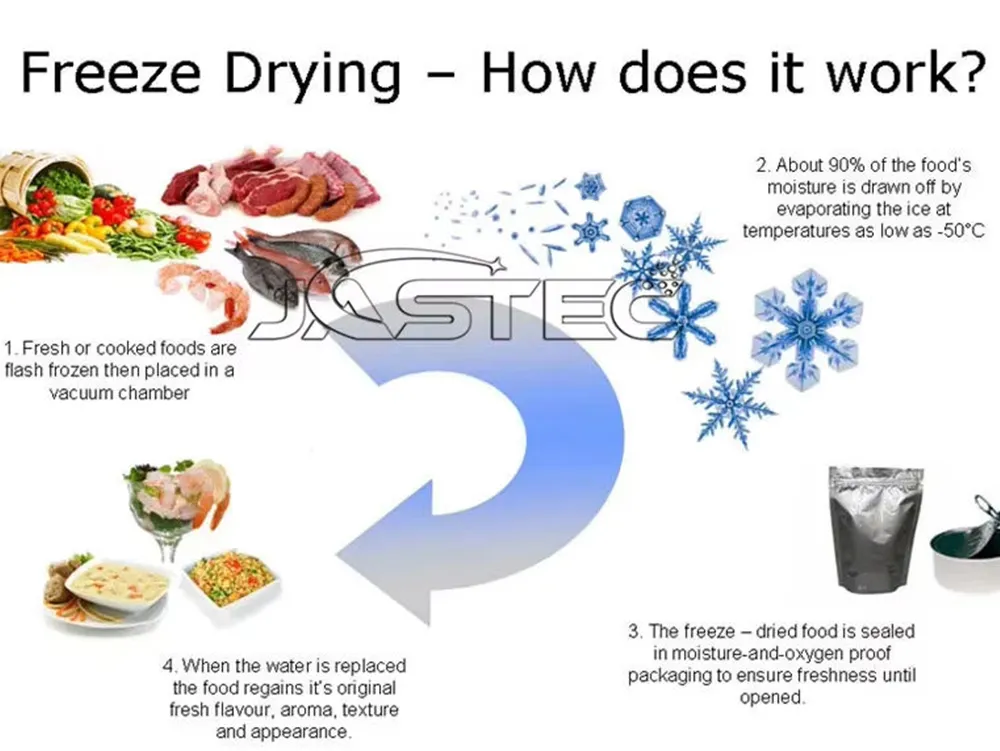 Freeze Drying Principle