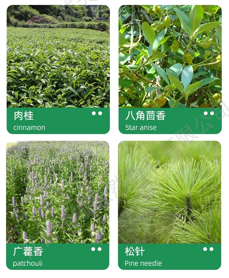 Manufacturers Supply Natural Plant-Derived β -Caryophyllene Spice Oil