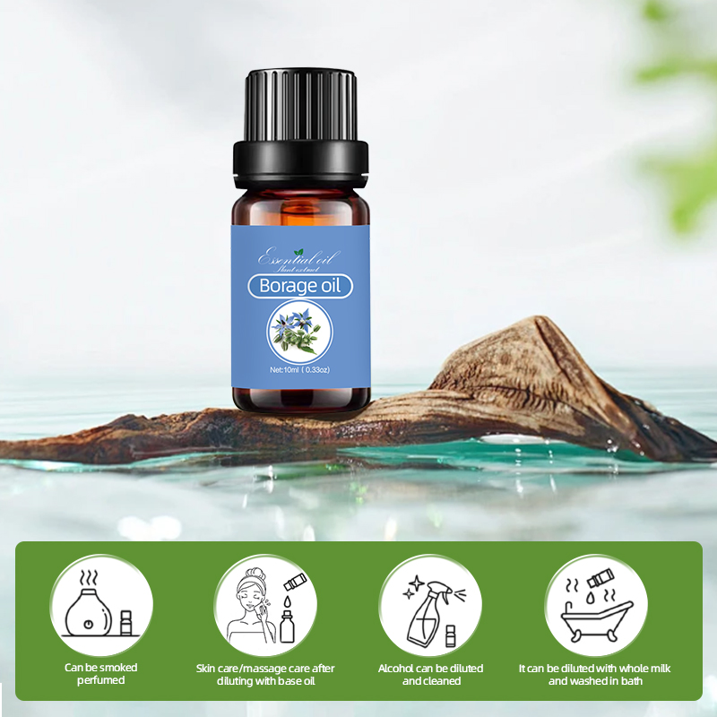 Manufacturers Supply Borage Oil Derived From Natural Plants