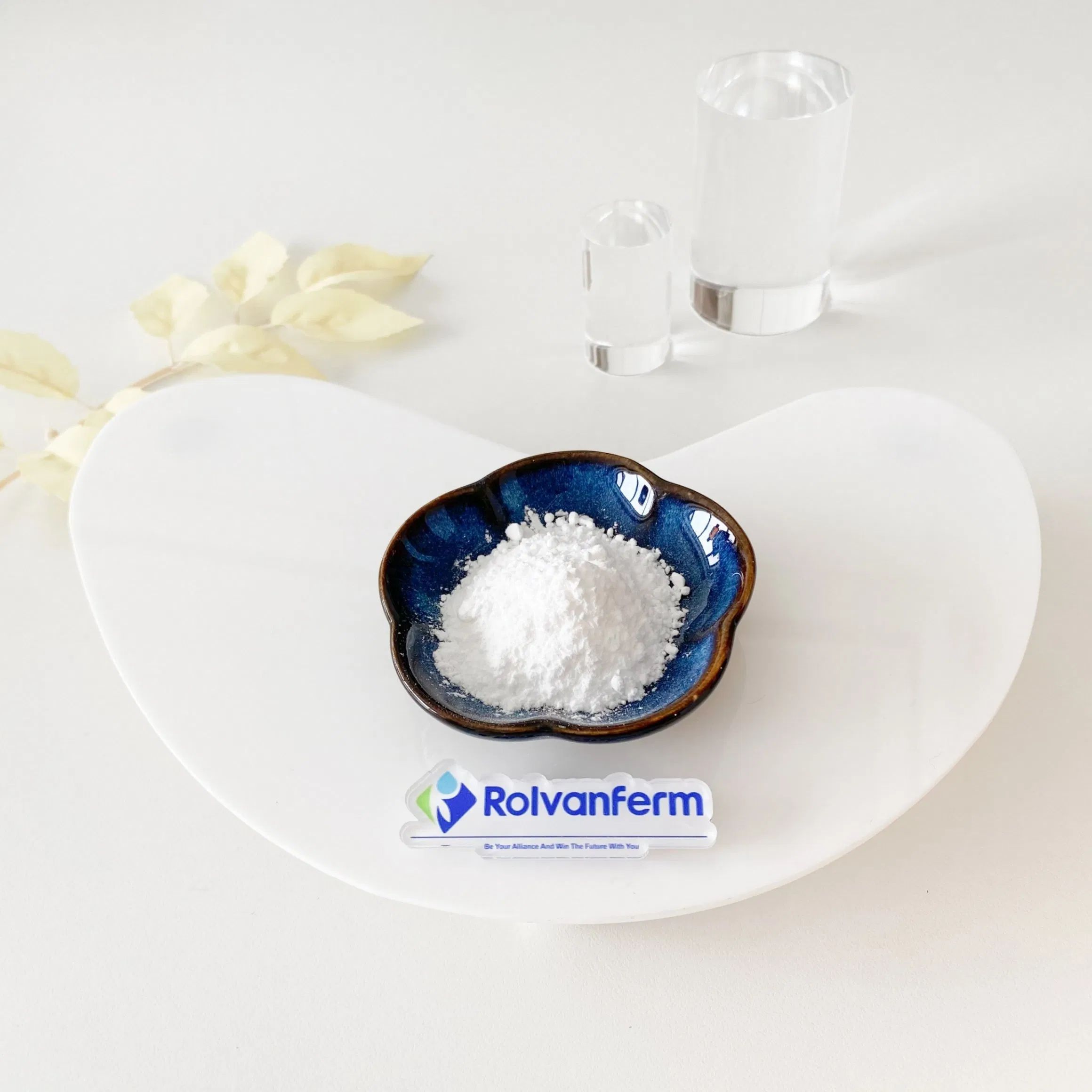 Alcar Acetylated Carnitine Ingredient for Nutraceutical, Functional Nutrition and Supplement Manufacturing