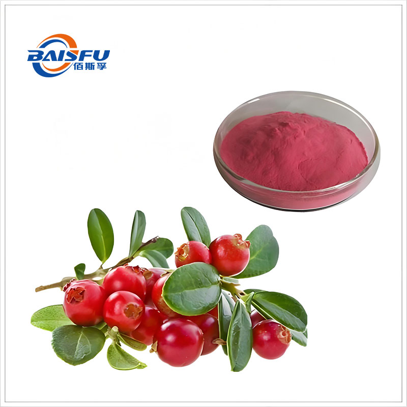 Baisfu Crangerry Powder Natural Colorants Meeting The High Demand of The USA