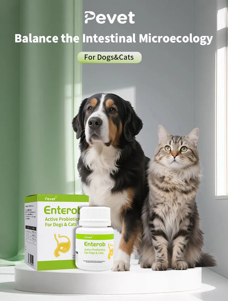 Enterob Pet Probiotics 112b Cfu Gut Health Supplement for Dogs Cats
