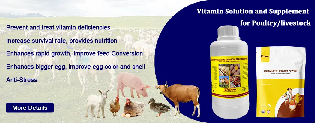 Poultry Multivitamin Oral Solution Amino Acid Treat Vitamin Deficiency
