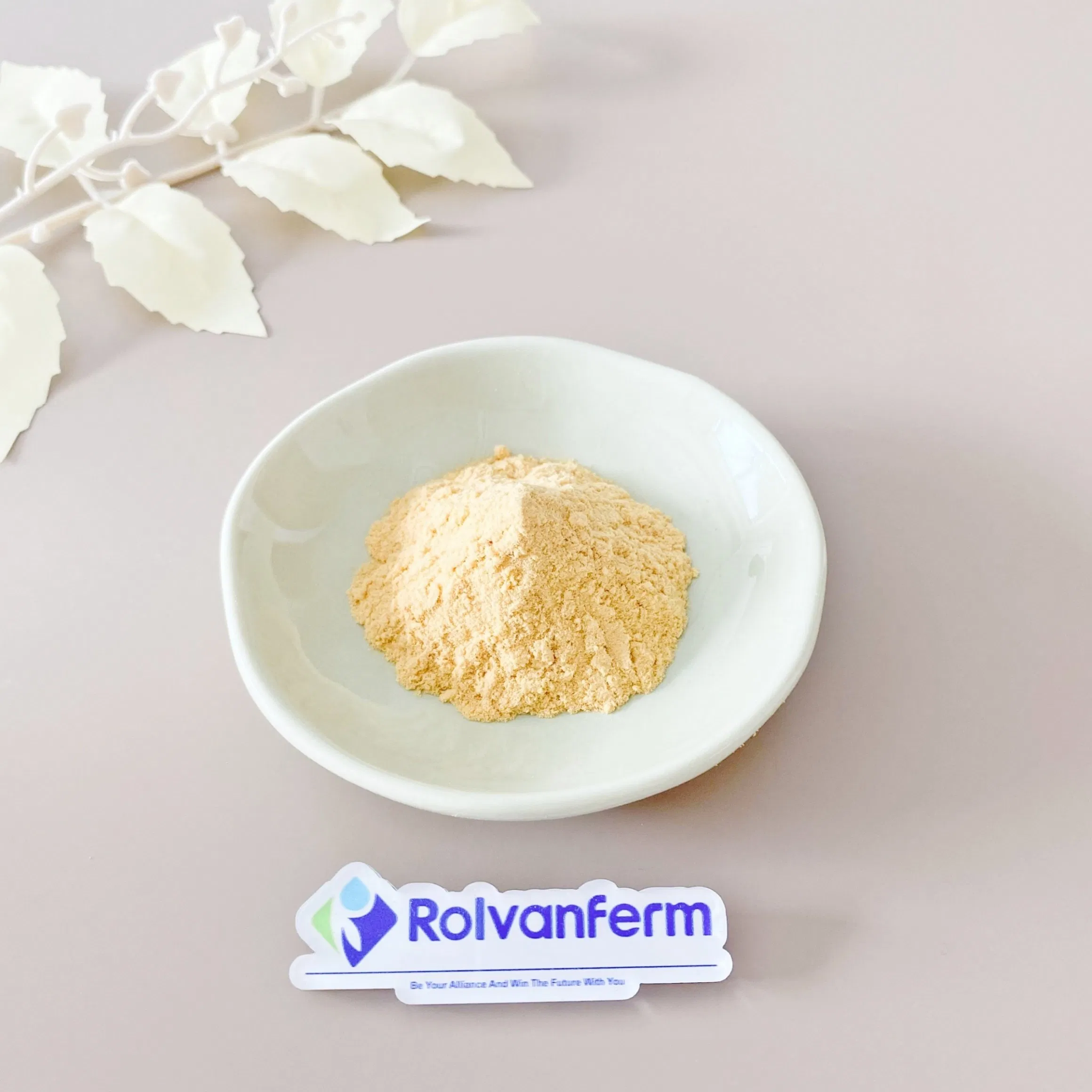 High-Purity Chitooligosaccharides for Nutritional Supplements, Functional Foods and Bioactive Ingredient Applications
