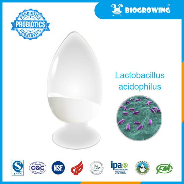 Long Live Factory 200 Billion Cfu/G Health Care Supplement Lactobacillus Acidophilus Probiotics