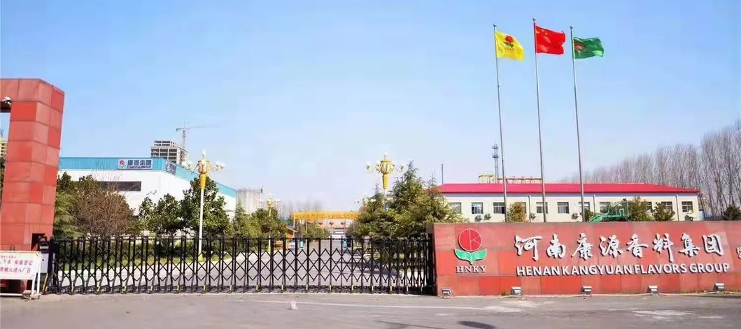 Company overview