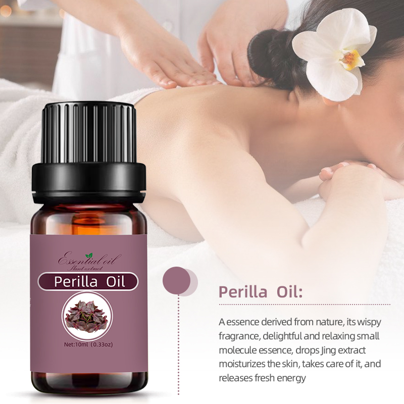 Global Suppliers Supply Natural Plant-Derived Perilla Seed Oil