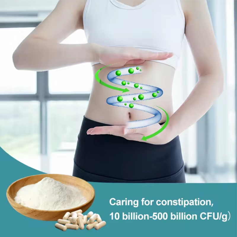 Olli Probiotic Capsules 4o Billion Cfu OEM/ODM/Obm Organic Prebiotics Capsules