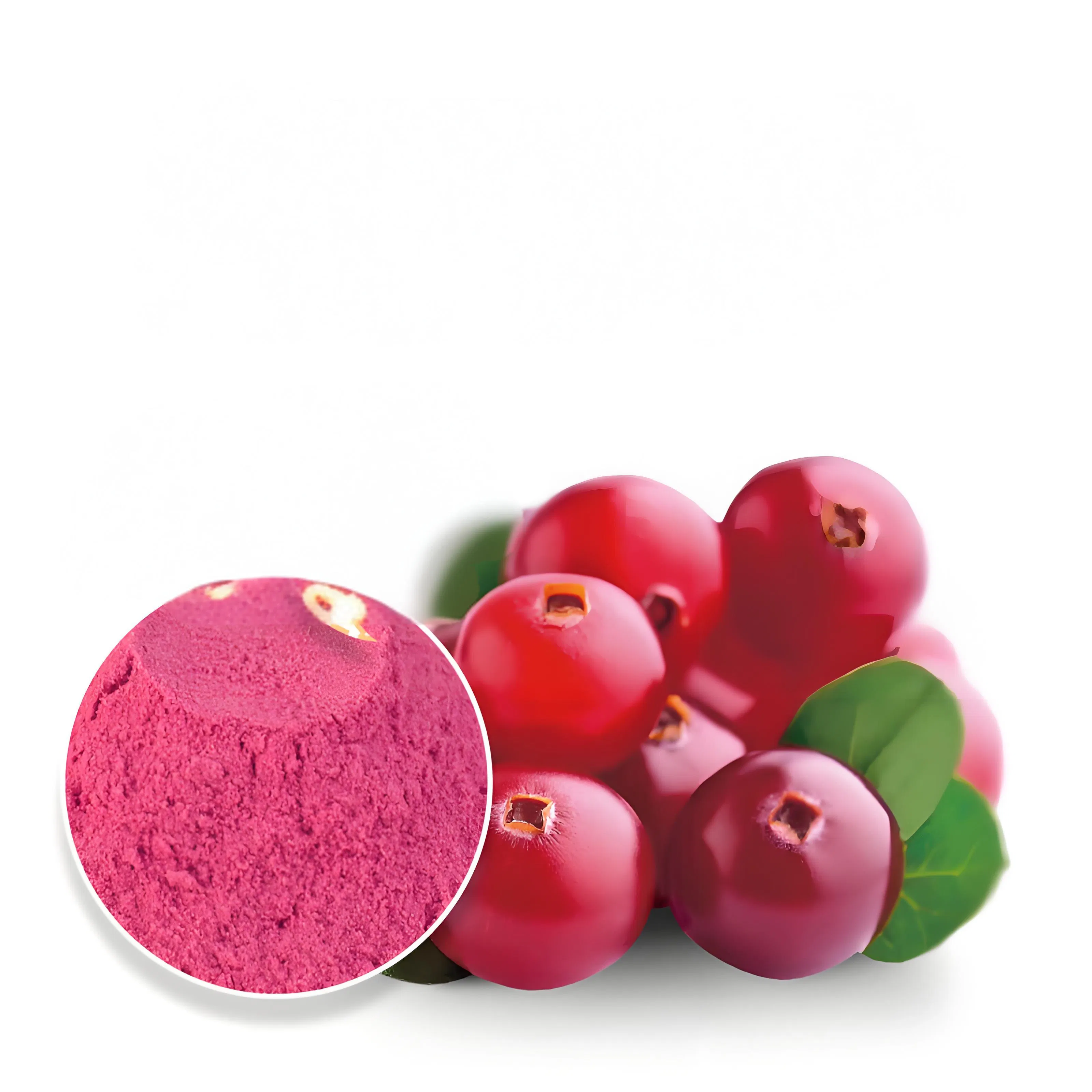 Baisfu Crangerry Powder Natural Colorants Meeting The High Demand of The USA