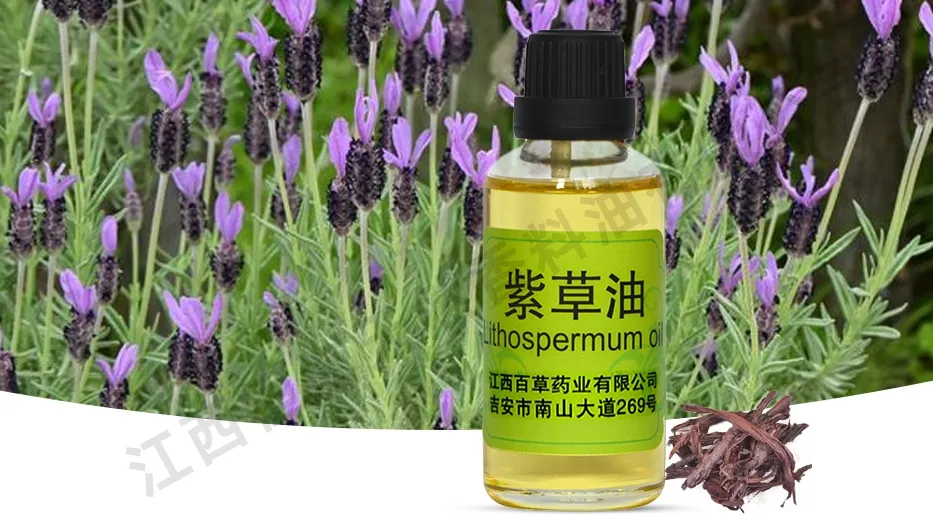 Global Suppliers Offer Natural Plant-Derived Comfrey Oil Spice Oil