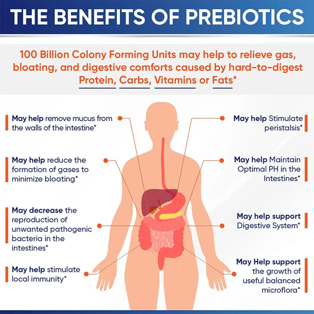 Probiotic Supplement