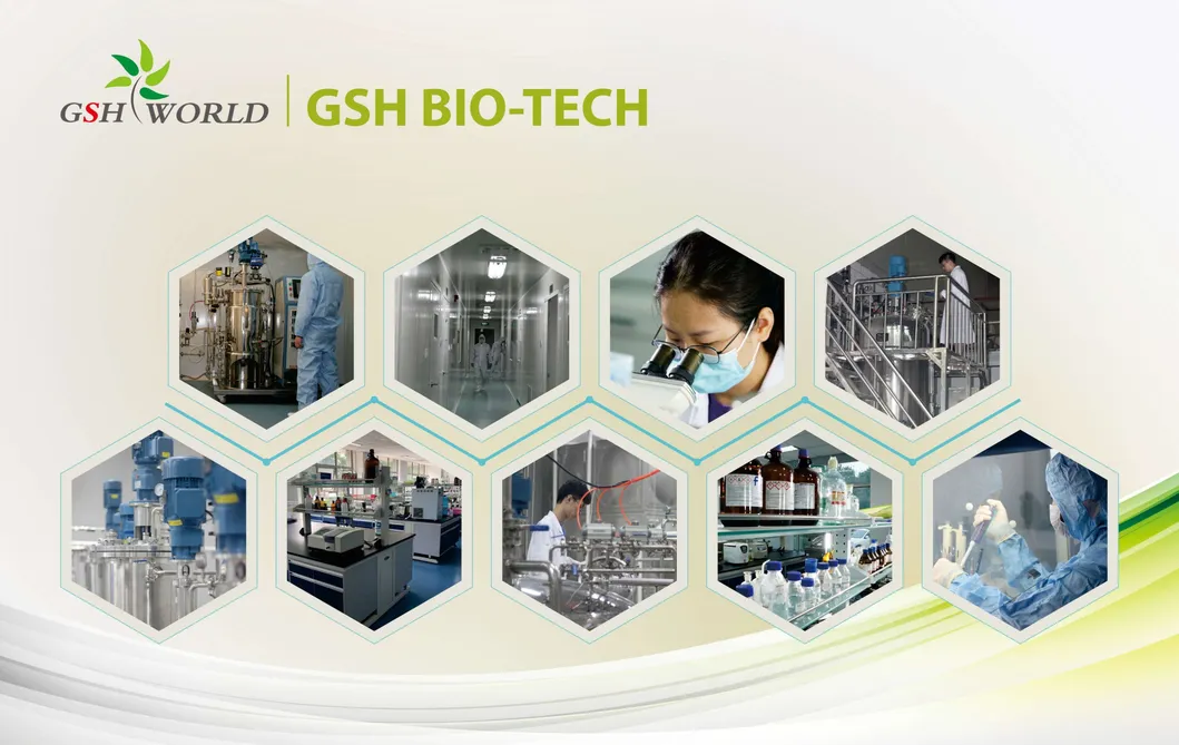 Lab