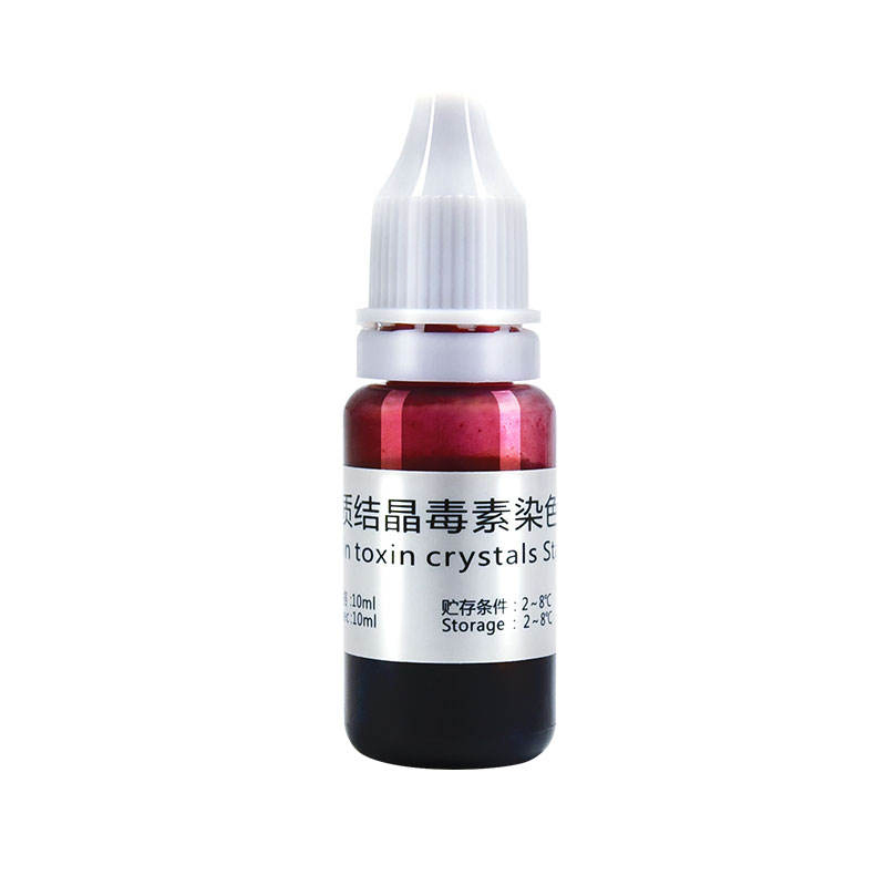 Protein Toxin Crystals Stain for Bacillus Cereus Identification Test Biochemical Reagent