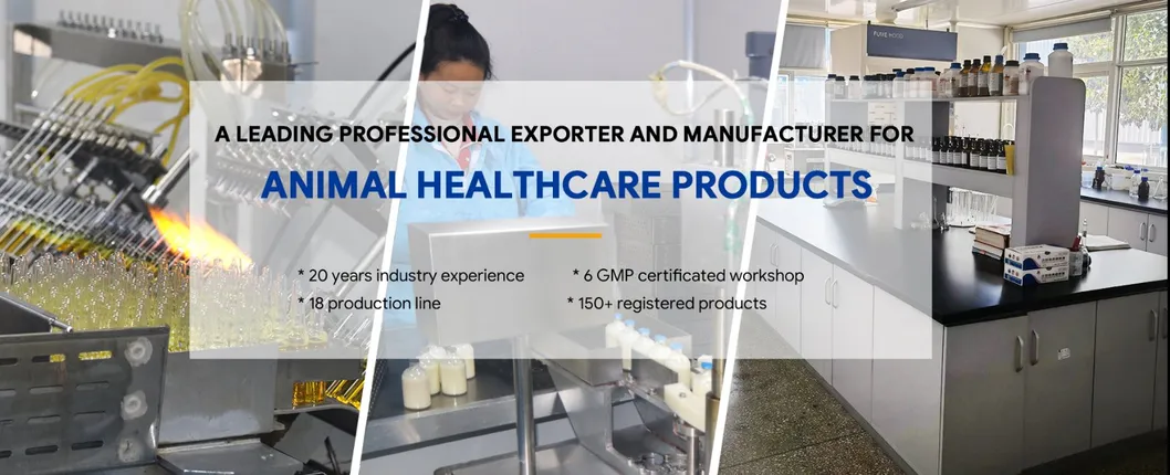 Multivitamins Injection Banner