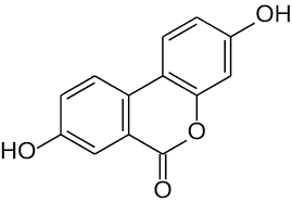 Urolithin a 98% Natural Anti-Aging Ingredient for Nutraceuticals