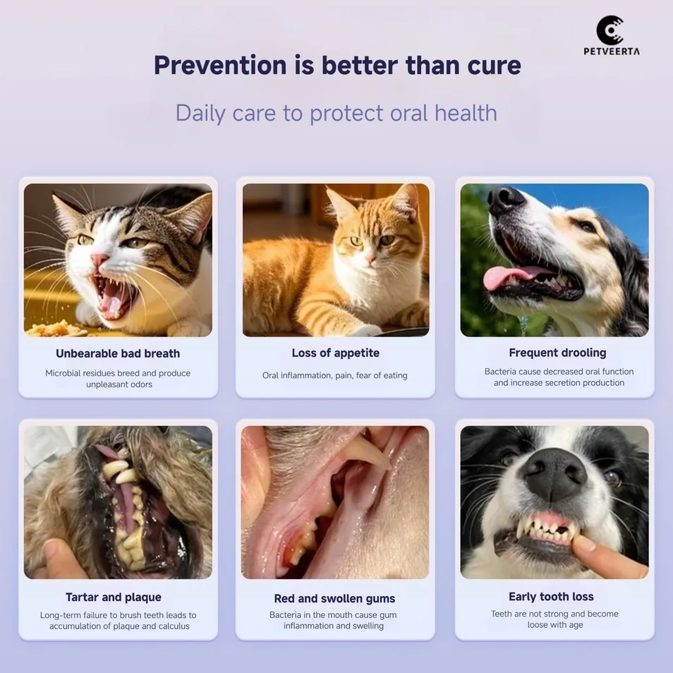Probiotic Pet Dental Water Scenarios