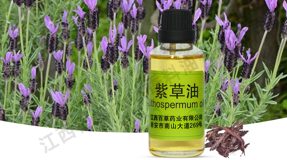 Global Suppliers Offer Natural Plant-Derived Comfrey Oil Spice Oil