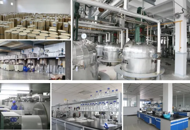 High-Quality N-Cocoyl-L-Glutamate Organic Cosmetic Raw Materials Supplier