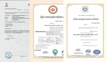 Cert 1