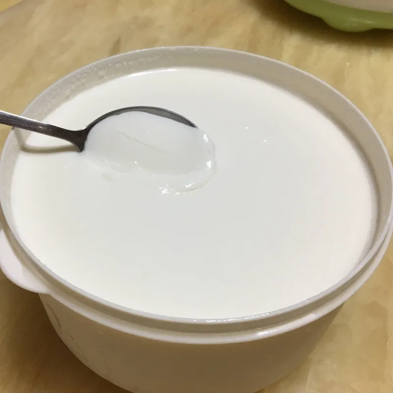 Food Ingredients Additive Probiotics Inulin Powder for Dairy Candy Products