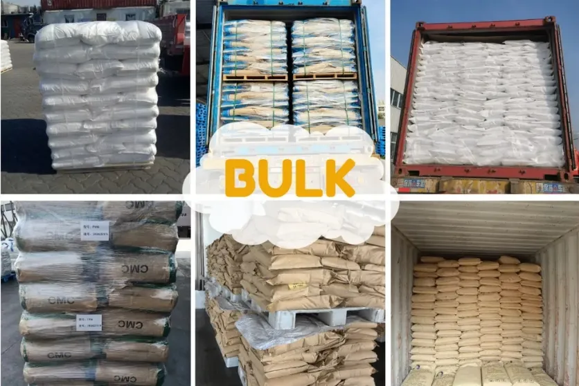 Shipping Logistics
