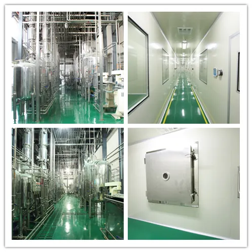 Factory Facility