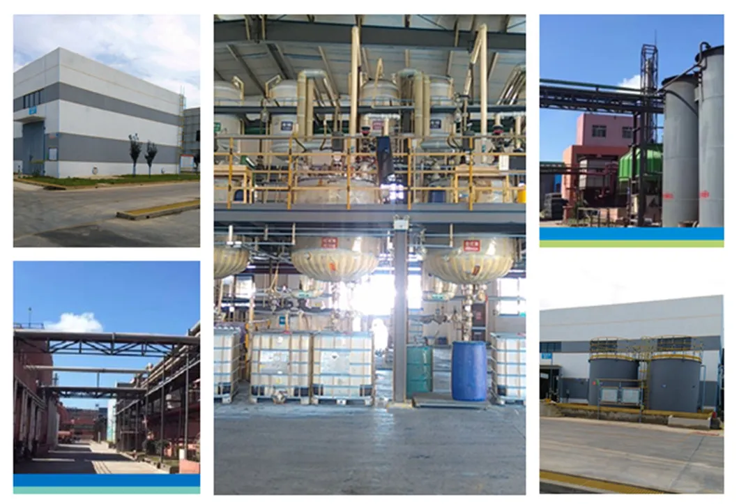 Company Profile