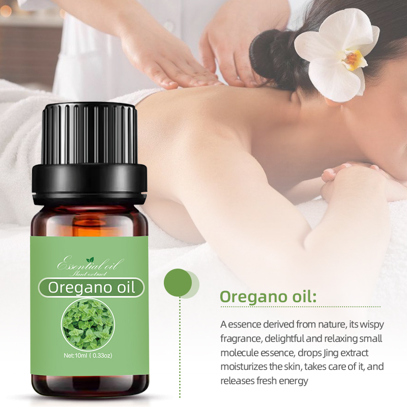 Manufacturers Supply Natural Plant Derived Oregano Oil Spice Oil