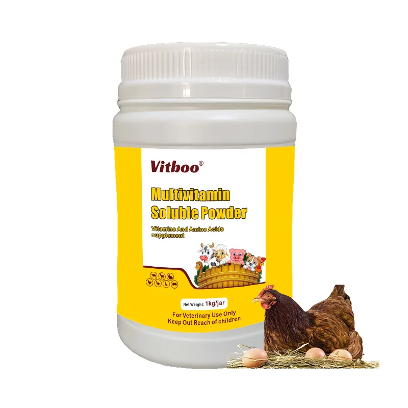 Multivitamin Oral Liquid
