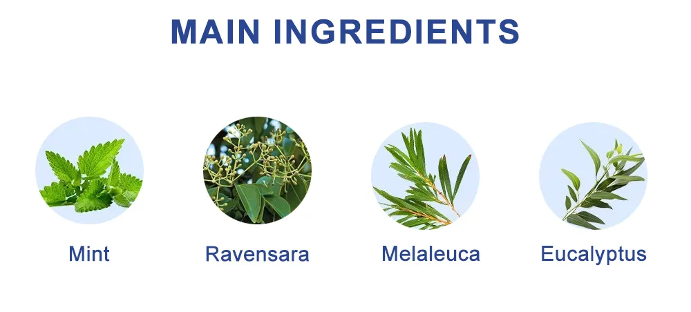جهاز استنشاق الأنف 5