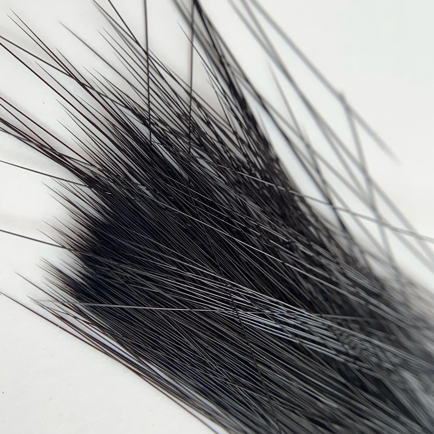 Fiber