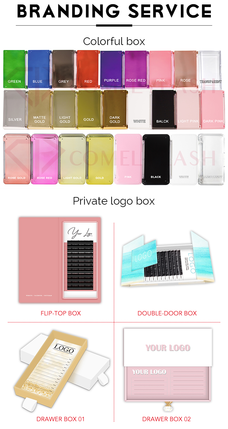 Lash Tools Showcase